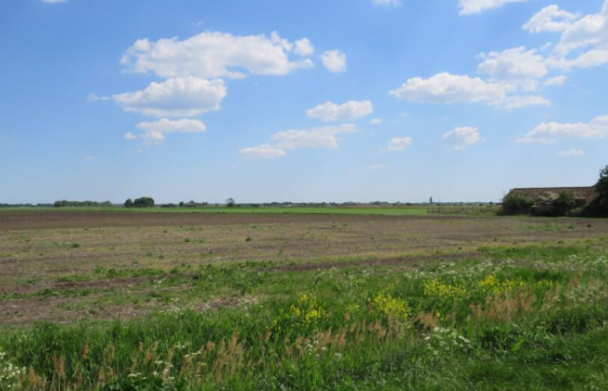 Land for sale in Manea, March photo